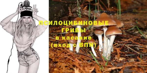 эйфоретик Новодвинск